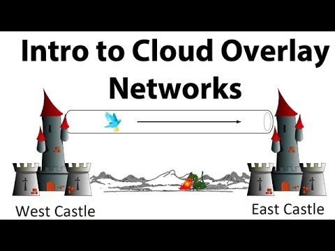 The Method To Repair Packet Loss: Simple Steps & Options For 2025