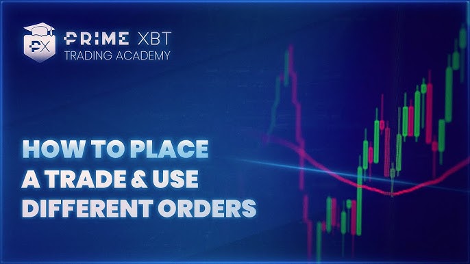 Discover the Potential of the PrimeXBT Trading Platform