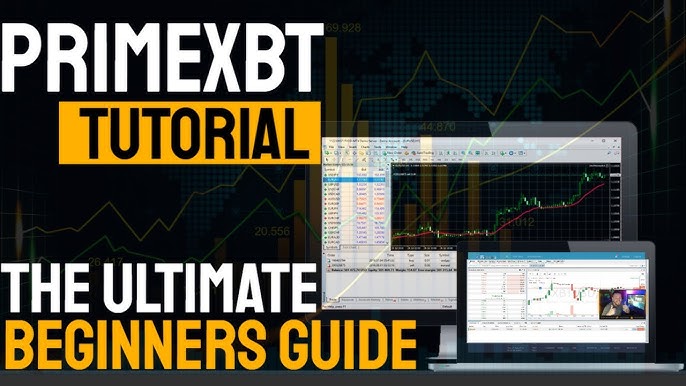 Discover the Potential of the PrimeXBT Trading Platform